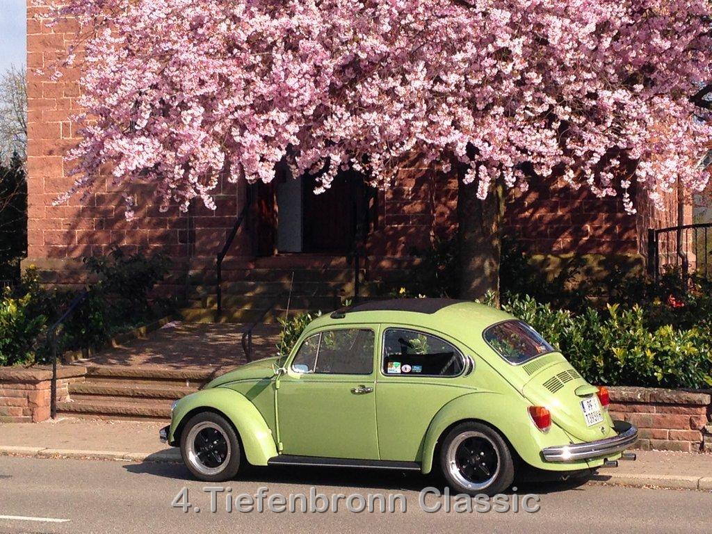 Bild00082.jpg